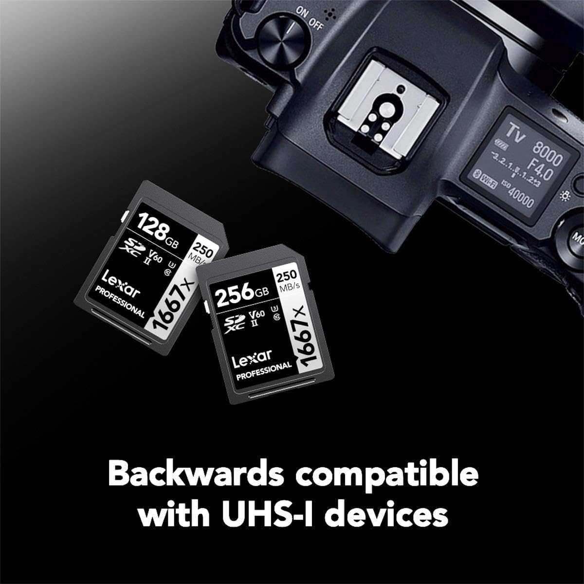 Lexar 128GB Professional 1066x SDXC Memory Card, UHS-I, C10, U3, V30, Full-HD & 4K Video, Up To 160MB/s Read, for DSLR and Mirrorless Cameras (LSD1066128G-BNNNU)
